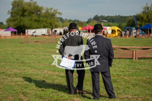 herefordshire_countryside_fair_lowRes-04